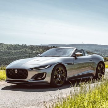 Jaguar in South Dakota